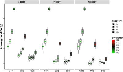 Photosynthetic and Growth Responses of <mark class="highlighted">Arundo donax L.</mark> Plantlets Under Different Oxygen Deficiency Stresses and Reoxygenation